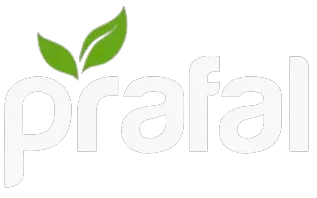 Prafal is your go-to destination for home made food products. We take pride in our unique approach, where skilled motherscraft our products in their homes, preserving the natural essence of Indian cuisine without any chemicals or preservatives. pickles, chutney, chutney pudis/powders, smabar masala sweets etc are our products